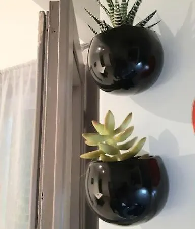 Mosaic Apartamento *